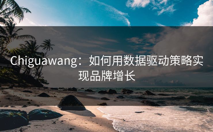 Chiguawang:如何用数据驱动策略实现品牌增长 Chiguawang:如何用数据驱动策略实现品牌增长
