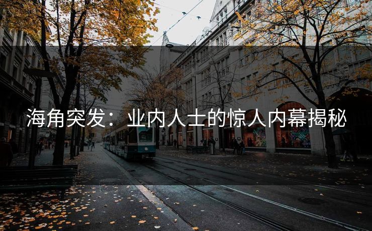 海角突发：业内人士的惊人内幕揭秘