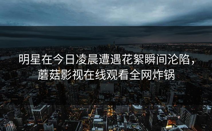 明星在今日凌晨遭遇花絮瞬间沦陷，蘑菇影视在线观看全网炸锅